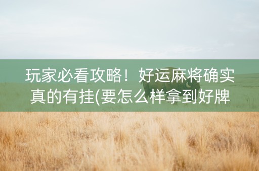 玩家必看攻略！好运麻将确实真的有挂(要怎么样拿到好牌)