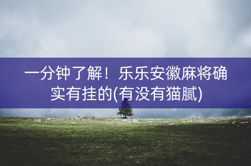 一分钟了解！乐乐安徽麻将确实有挂的(有没有猫腻)