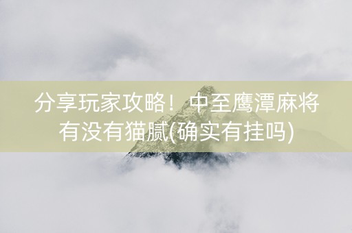 分享玩家攻略！中至鹰潭麻将有没有猫腻(确实有挂吗)