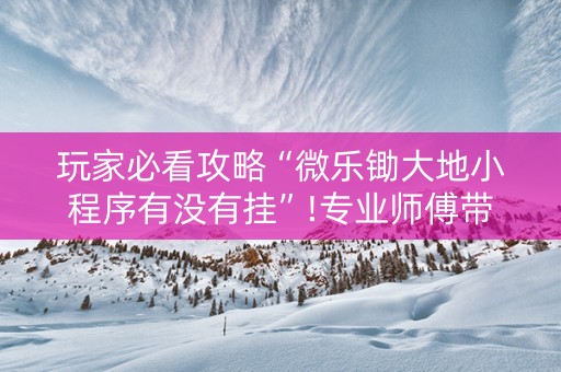 玩家必看攻略“微乐锄大地小程序有没有挂”!专业师傅带你一起了解（详细教程）-抖音