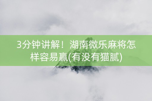 3分钟讲解！湖南微乐麻将怎样容易赢(有没有猫腻)