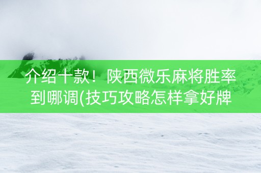 介绍十款！陕西微乐麻将胜率到哪调(技巧攻略怎样拿好牌)