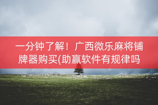 一分钟了解！广西微乐麻将铺牌器购买(助赢软件有规律吗)