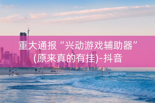 重大通报“兴动游戏辅助器”(原来真的有挂)-抖音