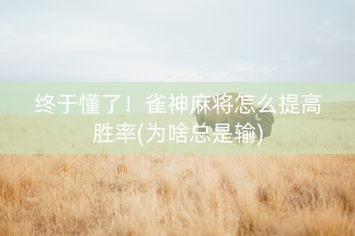 终于懂了！雀神麻将怎么提高胜率(为啥总是输)