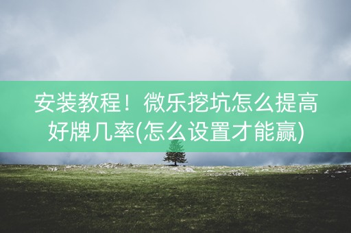 安装教程！微乐挖坑怎么提高好牌几率(怎么设置才能赢)