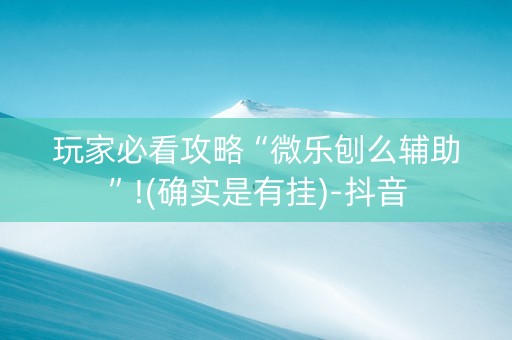 玩家必看攻略“微乐刨么辅助”!(确实是有挂)-抖音