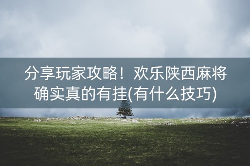 分享玩家攻略！欢乐陕西麻将确实真的有挂(有什么技巧)
