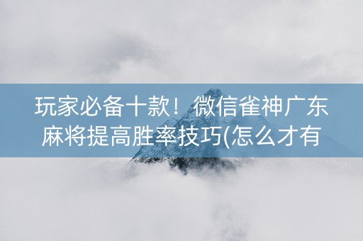 玩家必备十款！微信雀神广东麻将提高胜率技巧(怎么才有赢的几率)