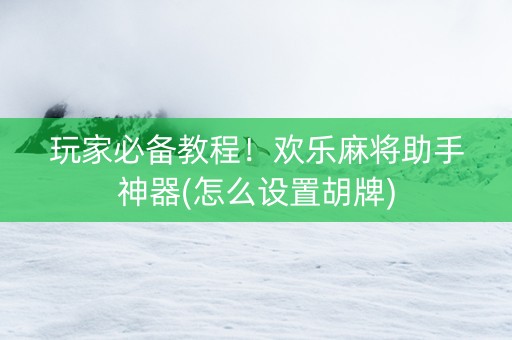 玩家必备教程！欢乐麻将助手神器(怎么设置胡牌)