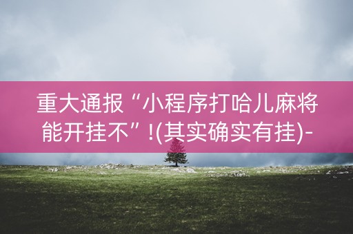 重大通报“小程序打哈儿麻将能开挂不”!(其实确实有挂)-抖音
