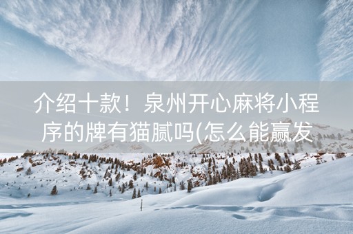 介绍十款！泉州开心麻将小程序的牌有猫腻吗(怎么能赢发牌规律)