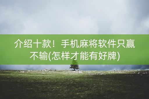 介绍十款！手机麻将软件只赢不输(怎样才能有好牌)