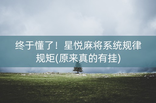 终于懂了！星悦麻将系统规律规矩(原来真的有挂)