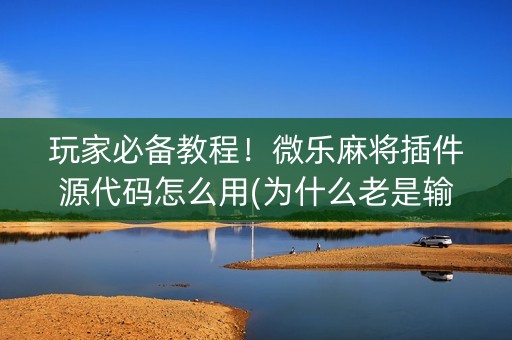 玩家必备教程！微乐麻将插件源代码怎么用(为什么老是输呢)