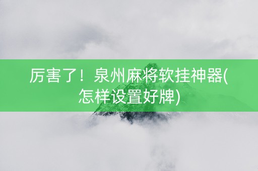 厉害了！泉州麻将软挂神器(怎样设置好牌)