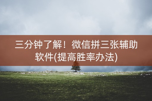 三分钟了解！微信拼三张辅助软件(提高胜率办法)