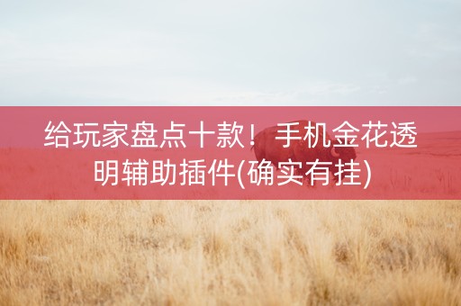 给玩家盘点十款！手机金花透明辅助插件(确实有挂)