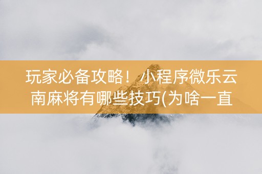 玩家必备攻略！小程序微乐云南麻将有哪些技巧(为啥一直输)