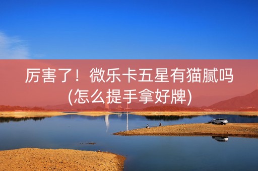 厉害了！微乐卡五星有猫腻吗(怎么提手拿好牌)