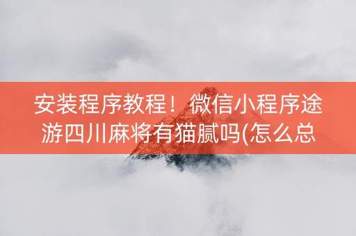 安装程序教程！微信小程序途游四川麻将有猫腻吗(怎么总输有什么猫腻)