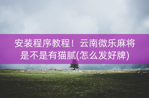 安装程序教程！云南微乐麻将是不是有猫腻(怎么发好牌)