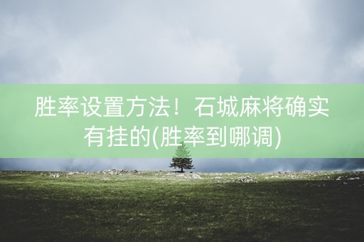 胜率设置方法！石城麻将确实有挂的(胜率到哪调)