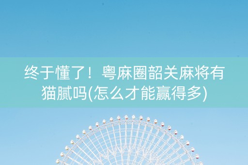 终于懂了！粤麻圈韶关麻将有猫腻吗(怎么才能赢得多)