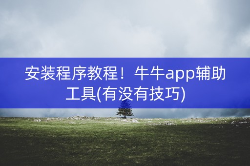 安装程序教程！牛牛app辅助工具(有没有技巧)