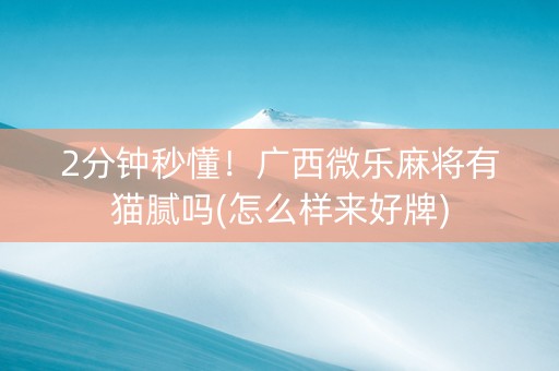 2分钟秒懂！广西微乐麻将有猫腻吗(怎么样来好牌)