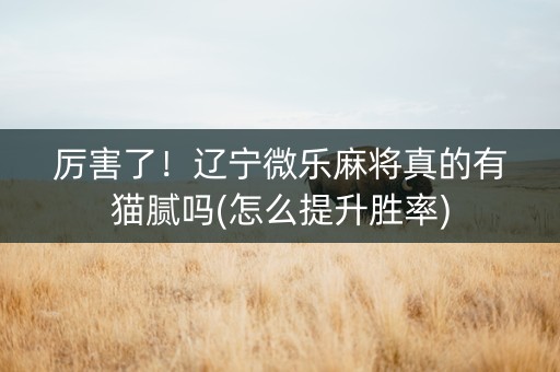 厉害了！辽宁微乐麻将真的有猫腻吗(怎么提升胜率)