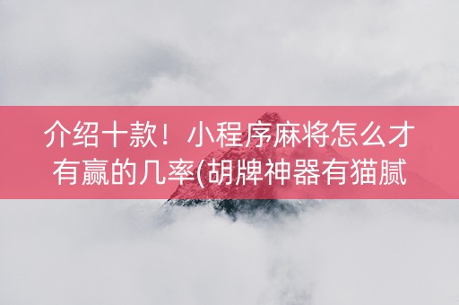 介绍十款！小程序麻将怎么才有赢的几率(胡牌神器有猫腻吗)
