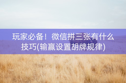 玩家必备！微信拼三张有什么技巧(输赢设置胡牌规律)