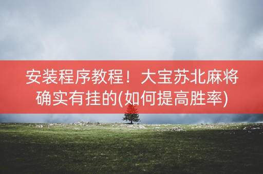 安装程序教程！大宝苏北麻将确实有挂的(如何提高胜率)