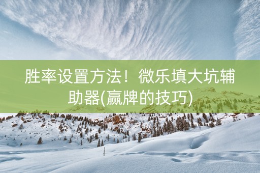 胜率设置方法！微乐填大坑辅助器(赢牌的技巧)