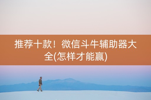 推荐十款！微信斗牛辅助器大全(怎样才能赢)