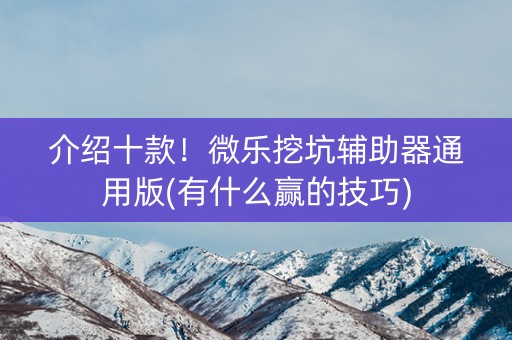 介绍十款！微乐挖坑辅助器通用版(有什么赢的技巧)