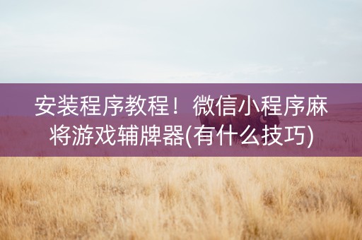 安装程序教程！微信小程序麻将游戏辅牌器(有什么技巧)