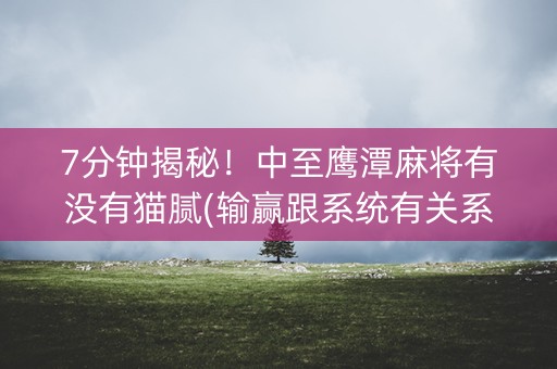 7分钟揭秘！中至鹰潭麻将有没有猫腻(输赢跟系统有关系吗)