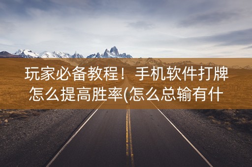 玩家必备教程！手机软件打牌怎么提高胜率(怎么总输有什么猫腻)