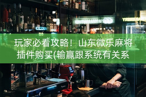 玩家必看攻略！山东微乐麻将插件购买(输赢跟系统有关系吗)