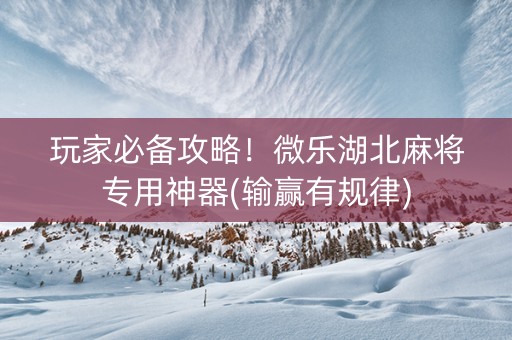 玩家必备攻略！微乐湖北麻将专用神器(输赢有规律)