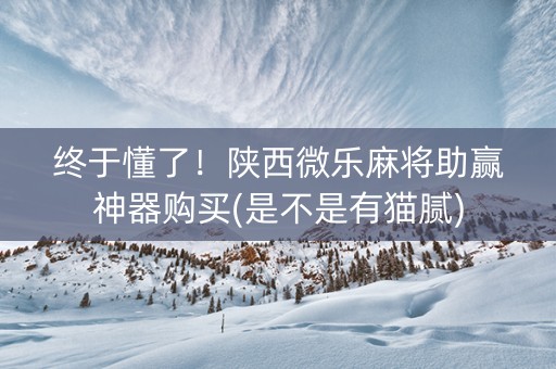 终于懂了！陕西微乐麻将助赢神器购买(是不是有猫腻)