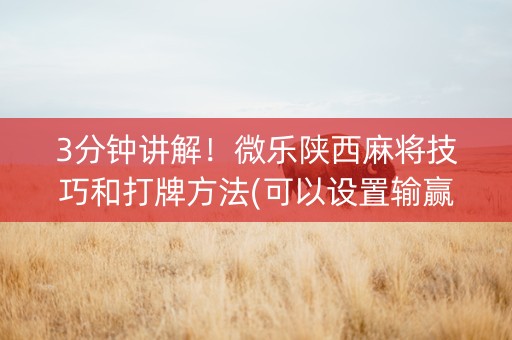 3分钟讲解！微乐陕西麻将技巧和打牌方法(可以设置输赢吗)