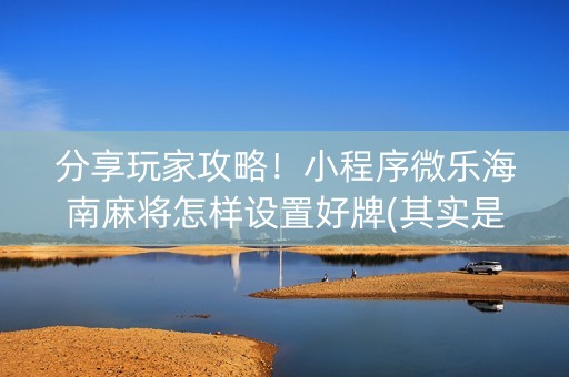 分享玩家攻略！小程序微乐海南麻将怎样设置好牌(其实是有挂确实有挂)