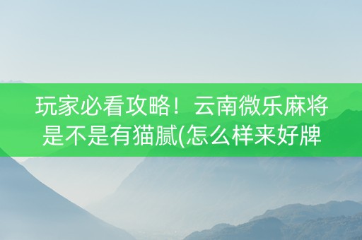 玩家必看攻略！云南微乐麻将是不是有猫腻(怎么样来好牌)