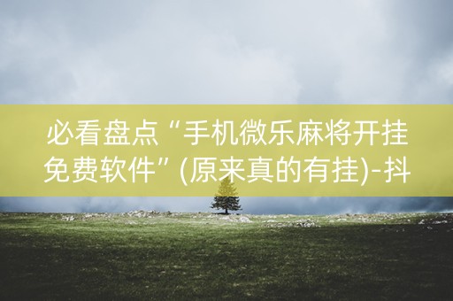 必看盘点“手机微乐麻将开挂免费软件”(原来真的有挂)-抖音