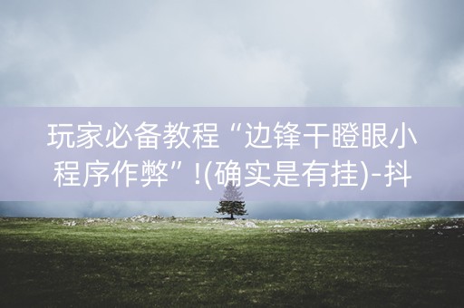 玩家必备教程“边锋干瞪眼小程序作弊”!(确实是有挂)-抖音