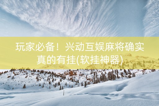 玩家必备！兴动互娱麻将确实真的有挂(软挂神器)