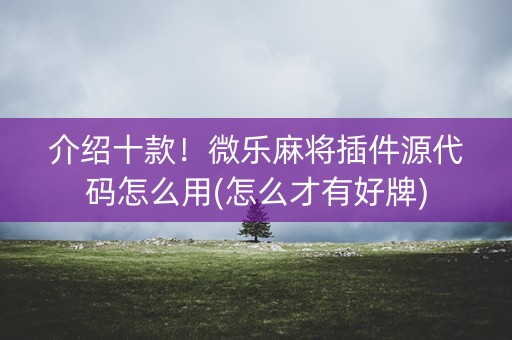 介绍十款！微乐麻将插件源代码怎么用(怎么才有好牌)